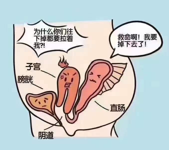 微信图片_20210202105543.jpg