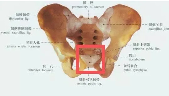 微信截图_20210304142125.png