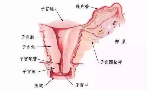 微信截图_20210713165802.png