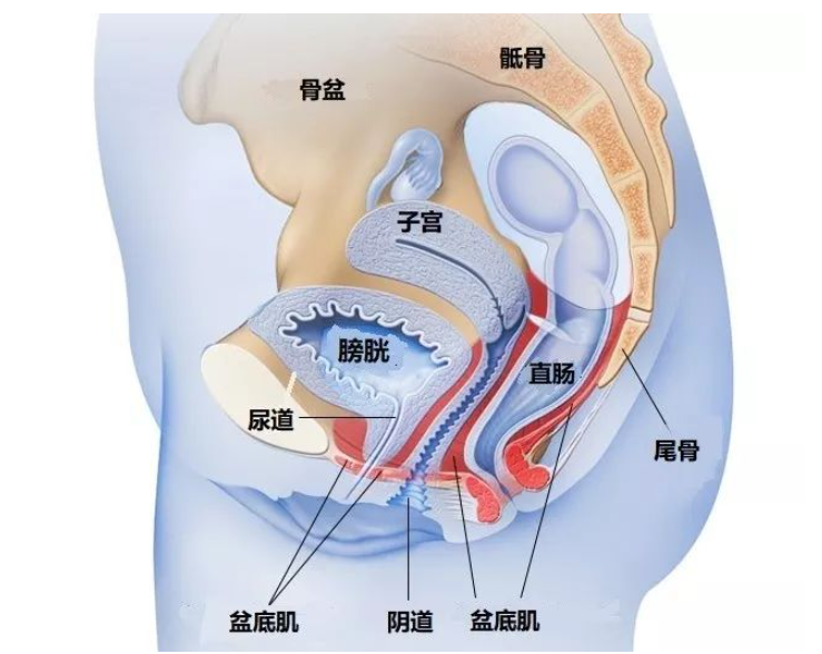 微信截图_20210304112520.png