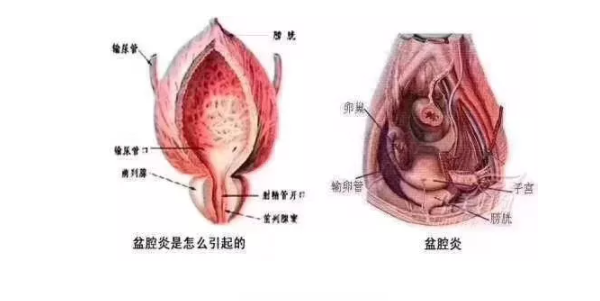 微信截图_20211208162058.png