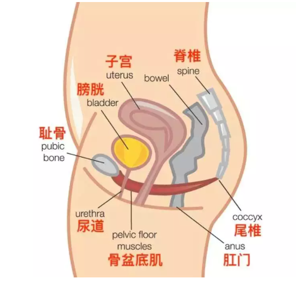 微信截图_20211026141536.png