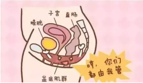 微信截图_20220314112401.png