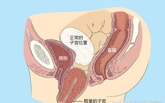 微信截图_20220414164249.png