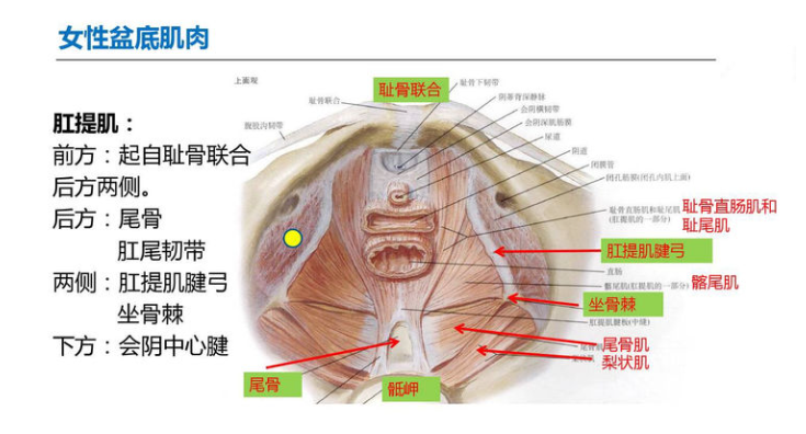 微信截图_20220414165943.png