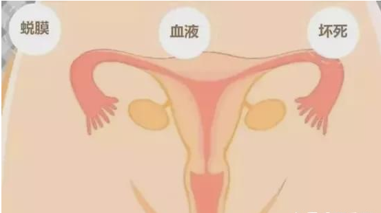 1655349417872296.png 微信截图_20220207175132.png