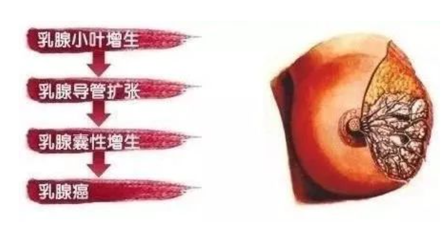 微信截图_20220929154612.png