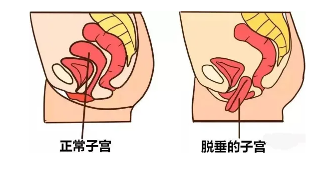 微信截图_20221107154744.png
