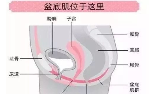 微信截图_20221212160524.png