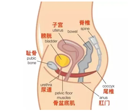 微信截图_20221107154734.png