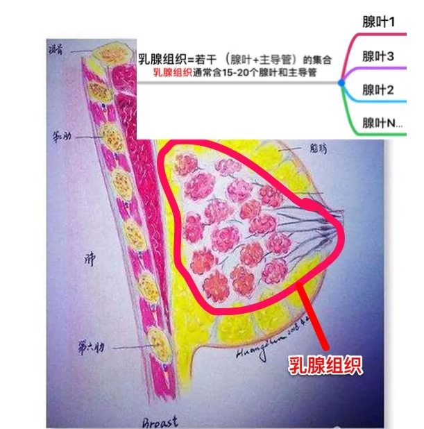 微信截图_20221205163204.png