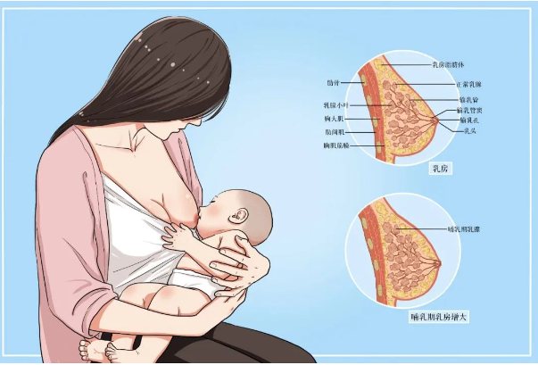 微信截图_20220704165634.png