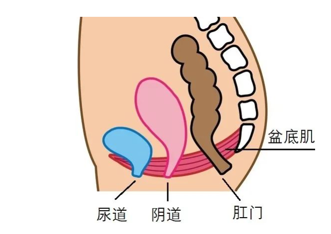 微信截图_20210803151255.png