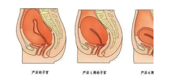 微信截图_20230105161531.png