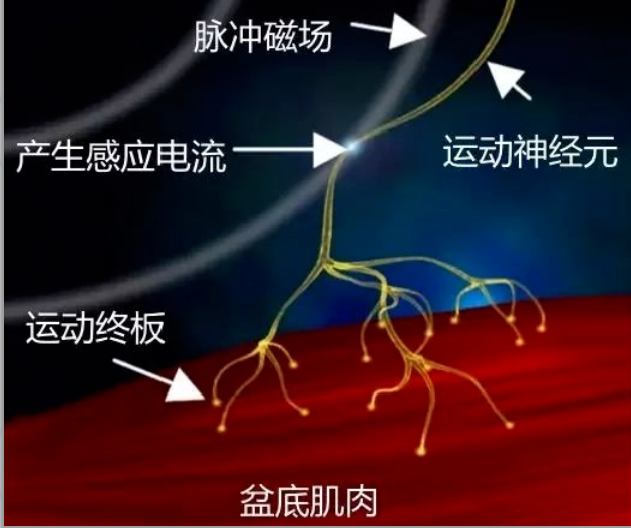 微信截图_20230301141502.png