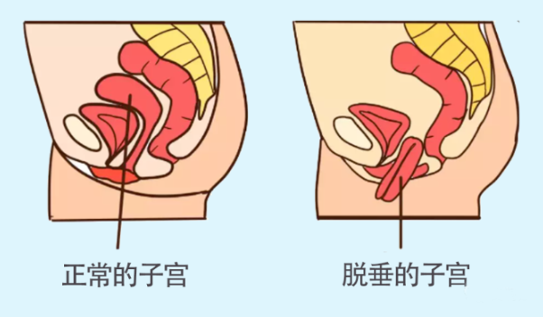 微信截图_20220812161036.png