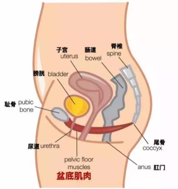 微信截图_20230301143920.png