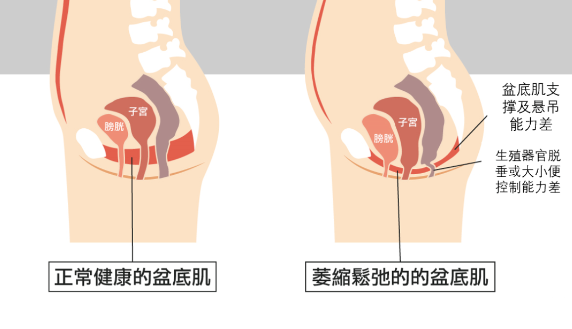微信截图_20230321150903.png