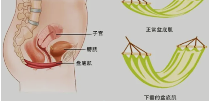 微信截图_20230321150916.png