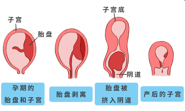 微信截图_20230704160448.png