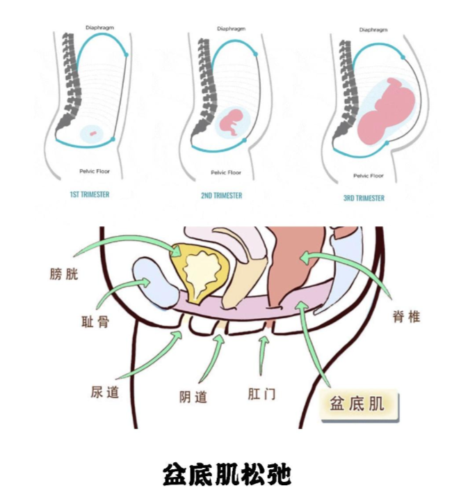 1689734331598968.png 微信截图_20230704162511.png