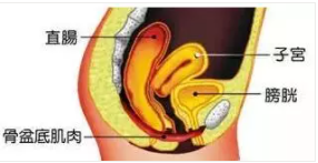 1690427366503242.png 微信截图_20210902160537.png