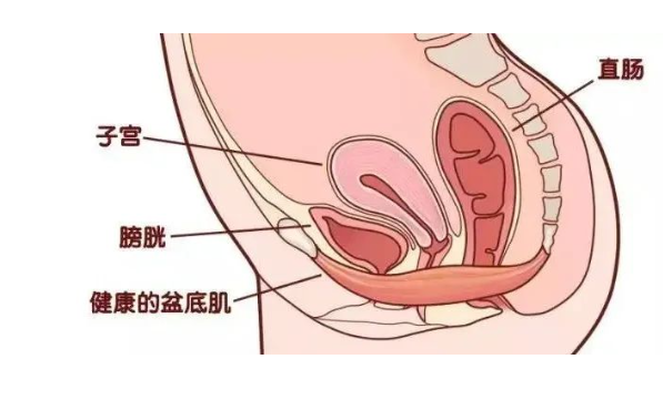 1694660957412888.png 微信截图_20230912170538.png