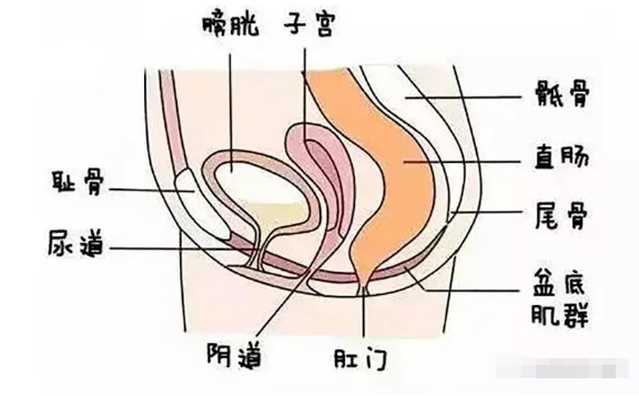 微信截图_20230912171205.png
