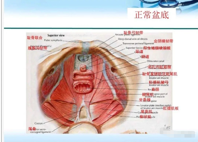 微信截图_20230912171532.png