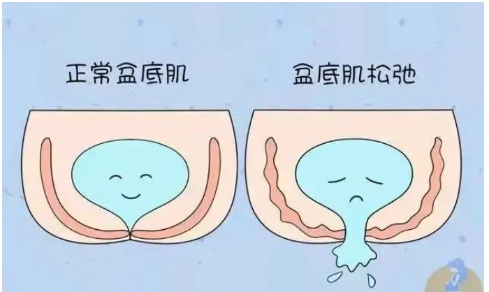 微信截图_20231110115137.png