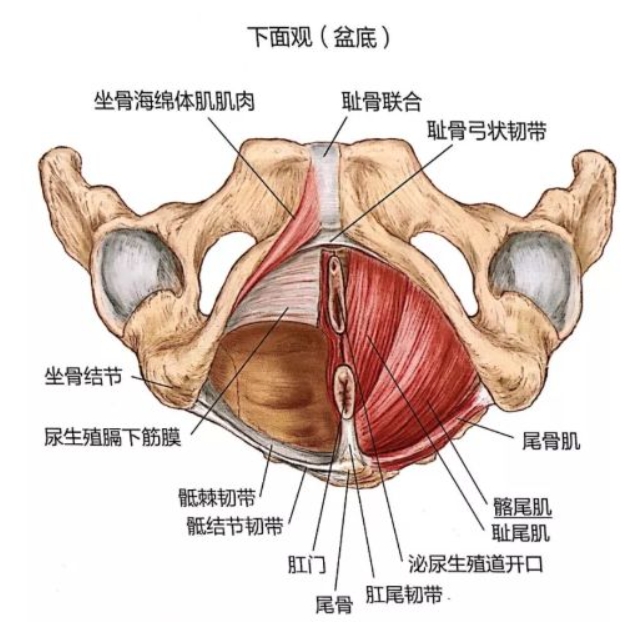 微信截图_20231225153611.png