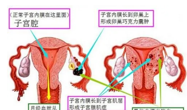 1715569340994307.png 微信截图_20240121162659.png