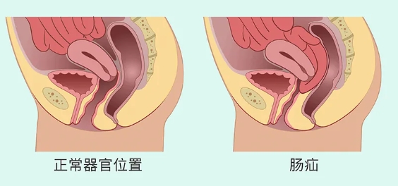 微信截图_20240515154454.png