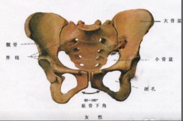 微信截图_20240530154845.png