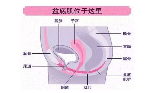 微信截图_20220414165950.png