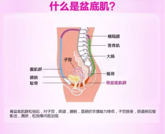 微信截图_20210902160529.png