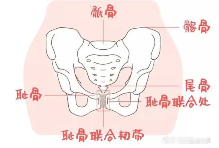 微信截图_20240827150109.png