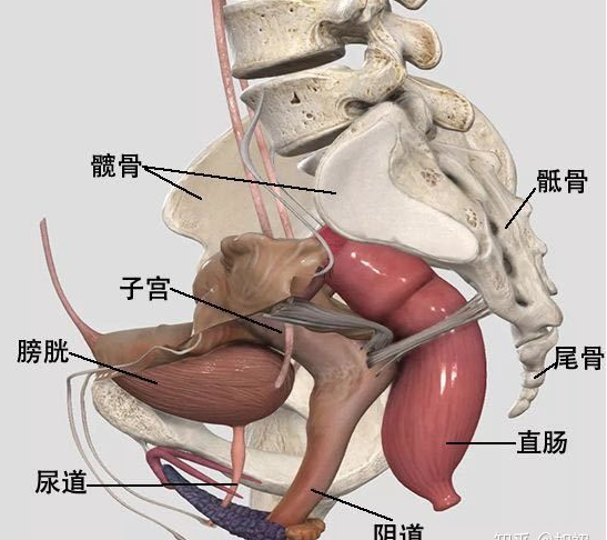 微信截图_20220510165507.png