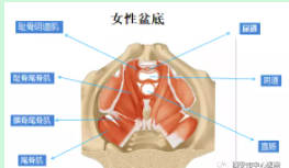 微信截图_20220119155442.png