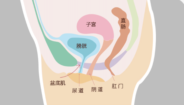 微信截图_20230209153003.png