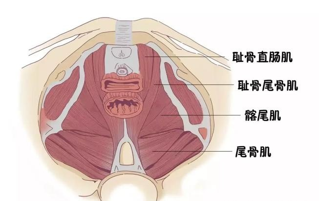 微信截图_20220510170031.png